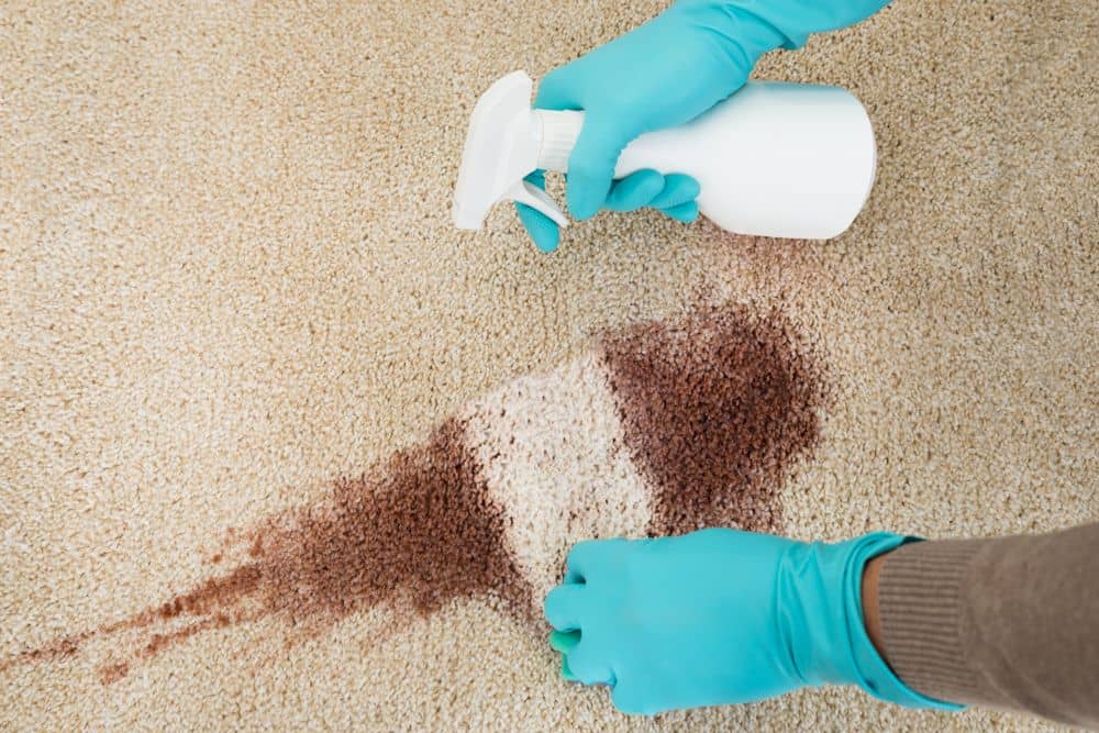 carpet cleanings