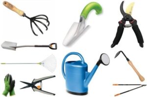 Most Important Gardening Tools
