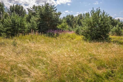 Tips on Caring for Large Plots of Land