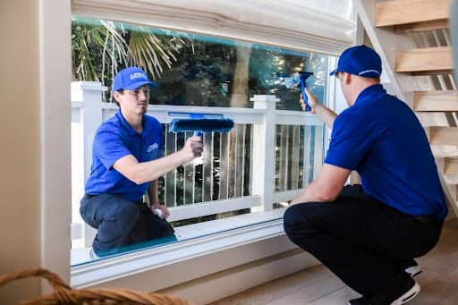 Why You Need Window Washing Experts