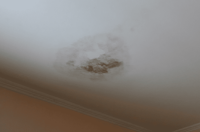 How To Remove Mold From Bathroom Ceiling!