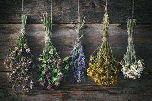 Dried Flowers Vs Preserved flowers: Everything You Need To Know