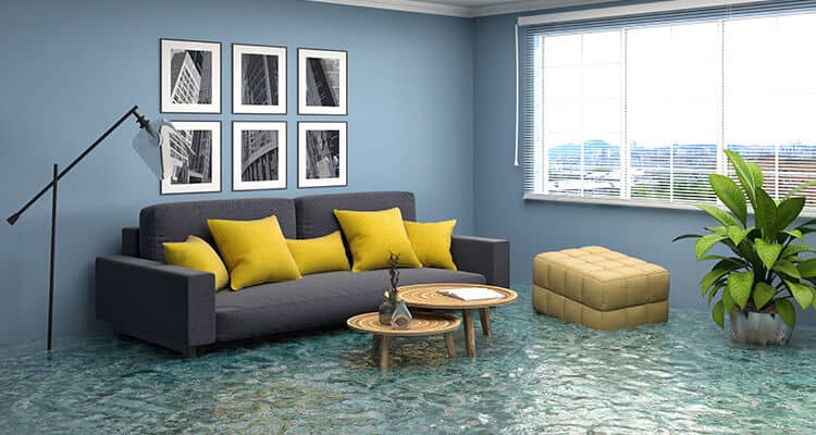 5 Tips To Choose A Water Damage Restoration Company