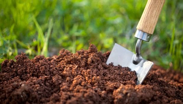 Understanding Soil Types and Conditions on Foundations & Slabs