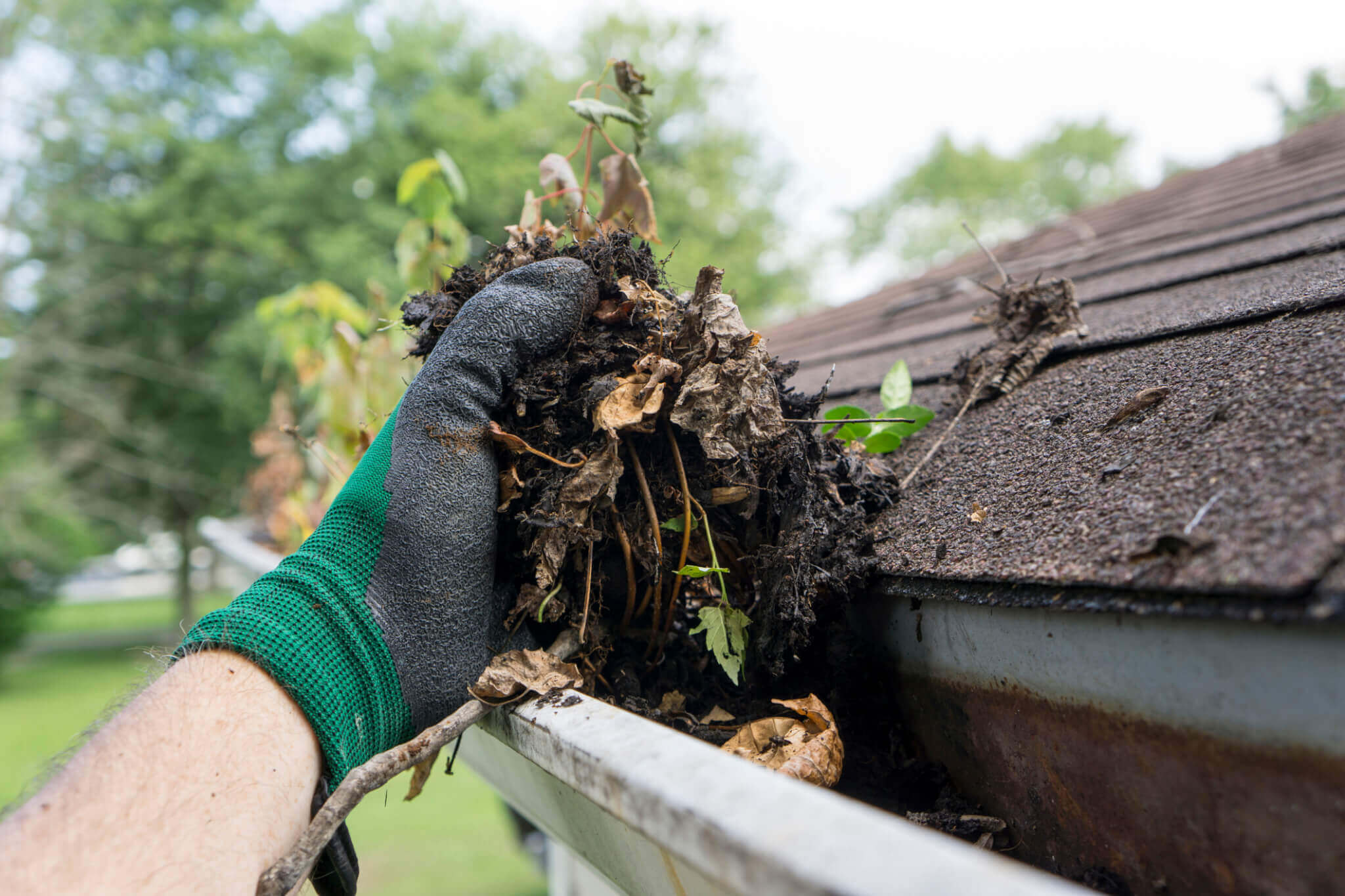 An Essential Guide to Cleaning Your Gutters!