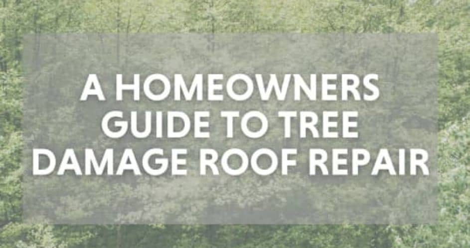 A Homeowner's Guide to Tree Damage and Roof Repair