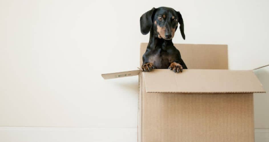 The 5 Most Common Mistakes to Avoid When Moving to a New Home