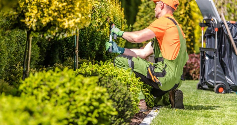 The Benefits Of Hiring Professional Landscaping Services