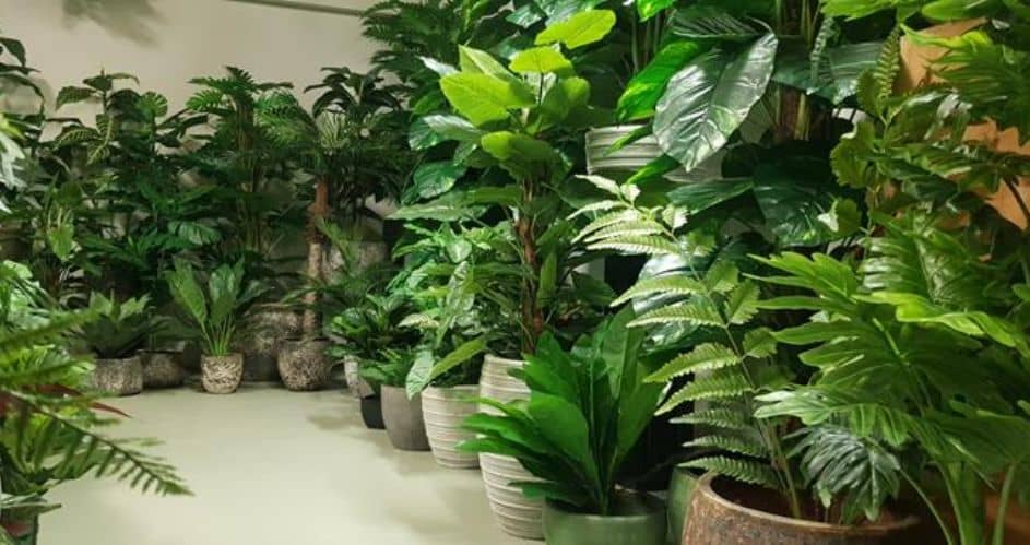 Artificial Plants In Businesses