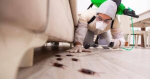 Effective Strategies for Eliminating Home Pests