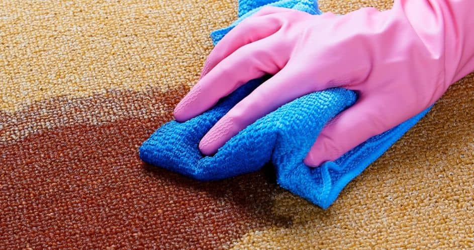 A Professional Rug Cleaner Reveals: Hilarious Rug Stain Stories