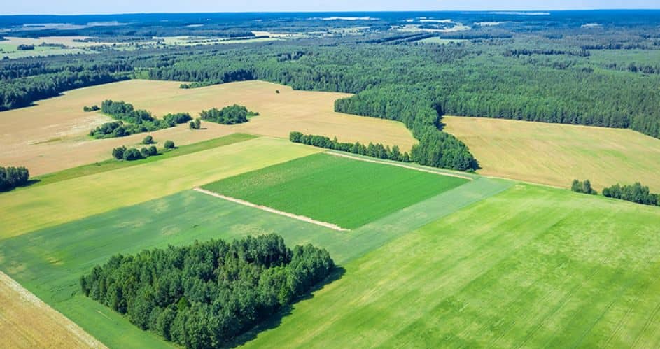 Top 10 Tips for Finding and Buying Farm Land for Sale in Ohio