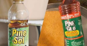 Pine Glo vs. Pine-Sol: Battle for Cleaning Supremacy