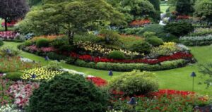 Landscaping Trends and Services in Baltimore