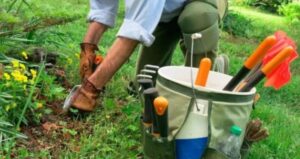 How to Best Store and Organize Your Gardening Tools