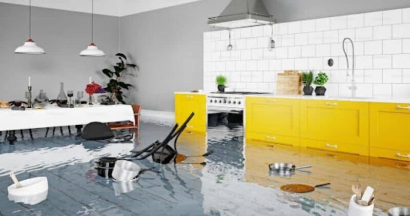 Tips for Preventing and Managing Water Damage in Your Home