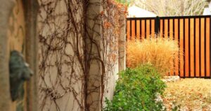 Privacy Screen Ideas: Stylish Ideas For Home