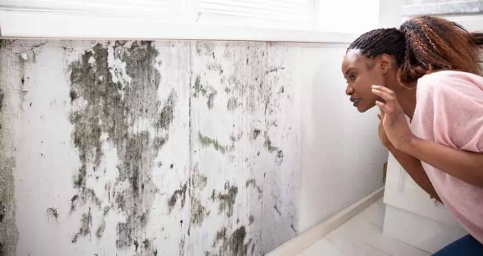 6 Crucial Steps to Take If You Find Mold Growing on Your Walls