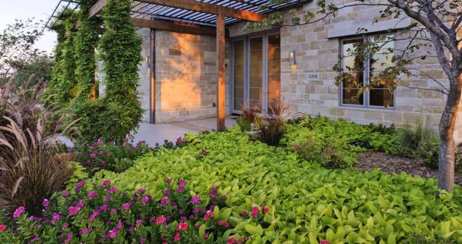 The Best Plants for Foundation Planting: Enhancing Your Home’s Curb Appeal