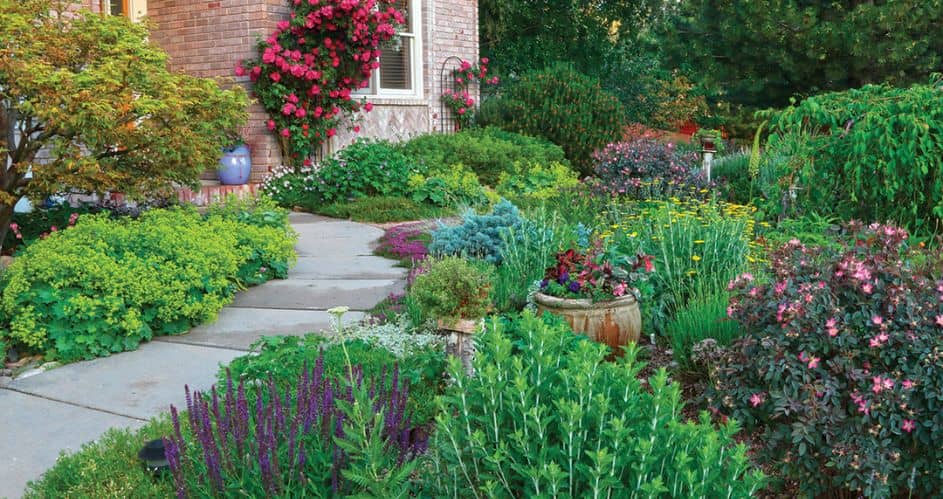 How to Design a Water-Wise Garden for Drought Conditions